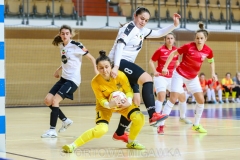 UAM-Rolnik-1-0-22