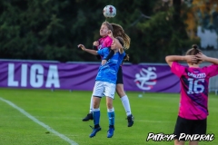 Grodzisk-Gorzno-1-8-114