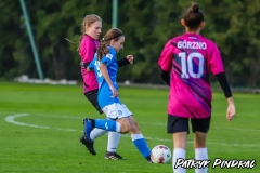 Grodzisk-Gorzno-1-8-119