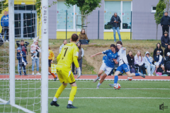 Lechitki awans - 29