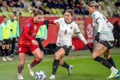 polska-austria16