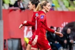 polska-austria19
