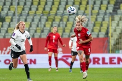 polska-austria36