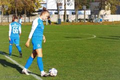 PP-Juna-Trans_WSD-0-4.-106