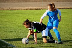 PP-Juna-Trans_WSD-0-4.-109