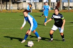 PP-Juna-Trans_WSD-0-4.-126