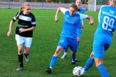 PP-Juna-Trans_WSD-0-4.-137