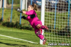 PP-Juna-Trans_WSD-0-4.-28