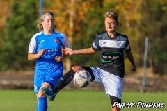 PP-Juna-Trans_WSD-0-4.-36