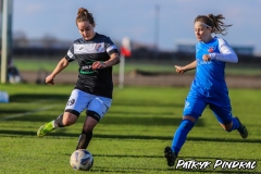 PP-Juna-Trans_WSD-0-4.-60