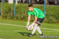 PP-Juna-Trans_WSD-0-4.-78