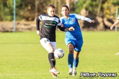 PP-Juna-Trans_WSD-0-4.-84