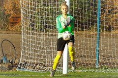 PP-Juna-Trans_WSD-0-4.-97