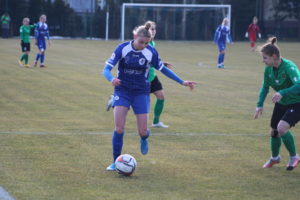 Gąsieniec 5 IMG 3335