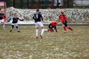 Rolnik/ Gdańsk 5 IMG 7918