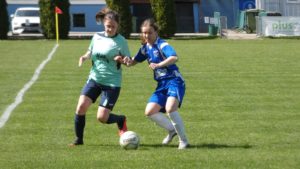 P1380519 (2) 5 P1380519 2