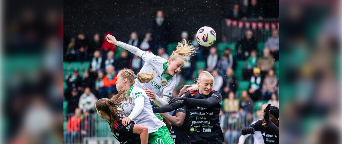 dammalsvenskan, hammarby - pitea